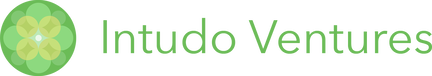 Intudo Logo